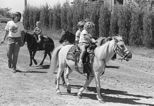 Children ride miniature horses